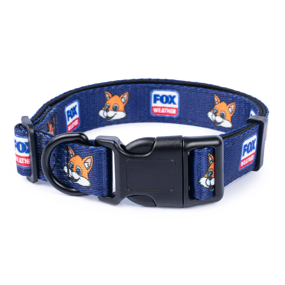 1940-fox-weather-sonny-pet-collar-1.webp FOX Weather Sonny Pet Collar