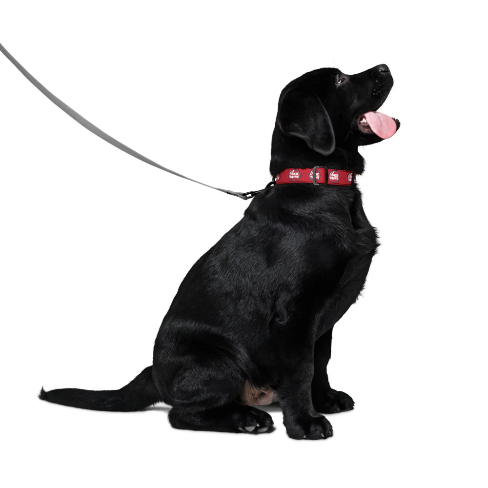 FOX News Pet Collar