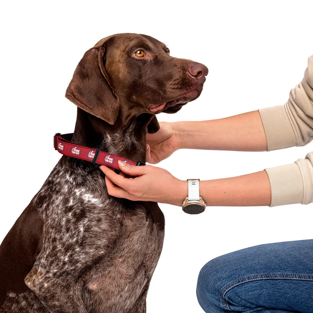 FOX News Pet Collar